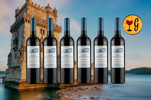 Kit 6 Garrafas Quinta de Bons Ventos Tinto – Elegância e Tradição Portuguesa Multiplicadas por Seis - Thumbnail