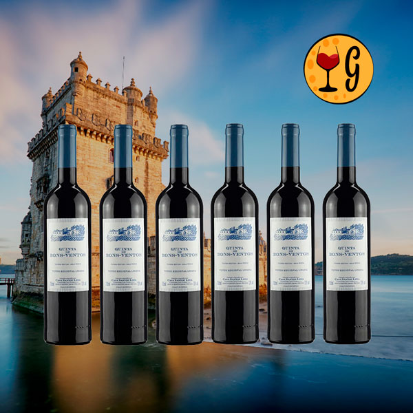 Kit 6 Garrafas Quinta de Bons Ventos Tinto – Elegância e Tradição Portuguesa Multiplicadas por Seis - Oferta