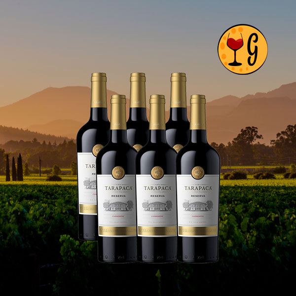 Kit 6 Garrafas Tarapacá Reserva Carmenère 2022 – Intensidade e Equilíbrio Multiplicados por Seis - Oferta