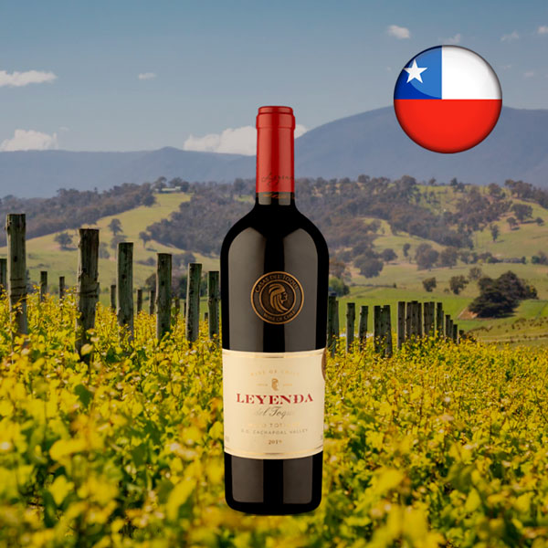 Leyenda Del Toqui DO Cachapoal Valley 2019 - Oferta
