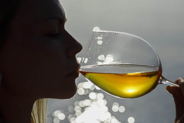 Louis Josse Petit Chablis AOC 2023 - Degustando