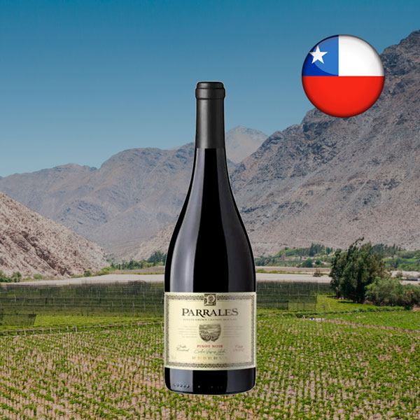 Parrales Reserva Pinot Noir 2022 - Oferta