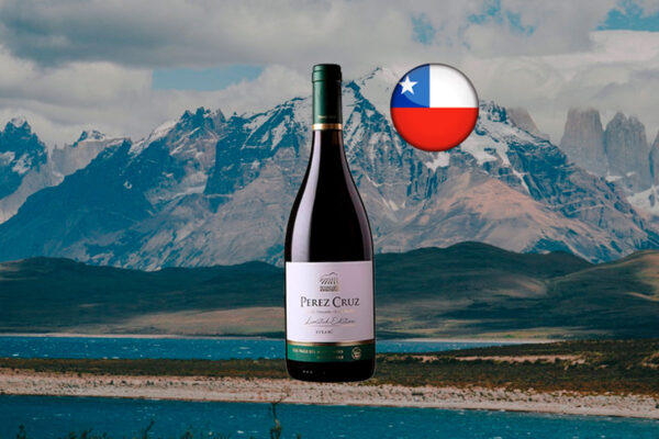 Perez Cruz Limited Edition Syrah 2021 - Thumbnail