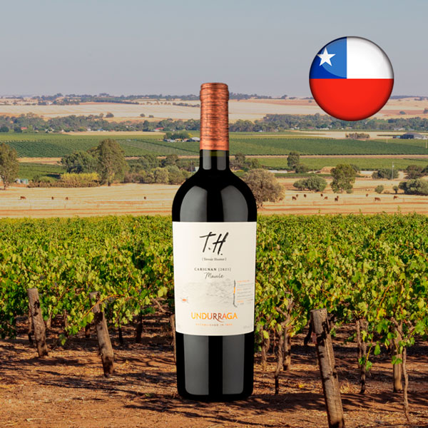 T.H. [Terroir Hunter] DO Valle Del Maule Carignan 2021 - Oferta