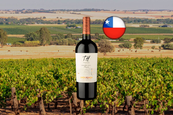 T.H. [Terroir Hunter] DO Valle Del Maule Carignan 2021 - Thumbnail