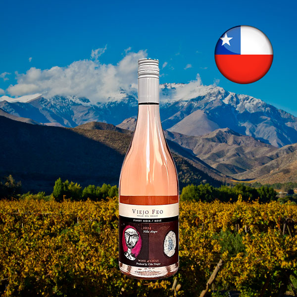 Viejo Feo Pinot Noir Rosé 2024 - Oferta