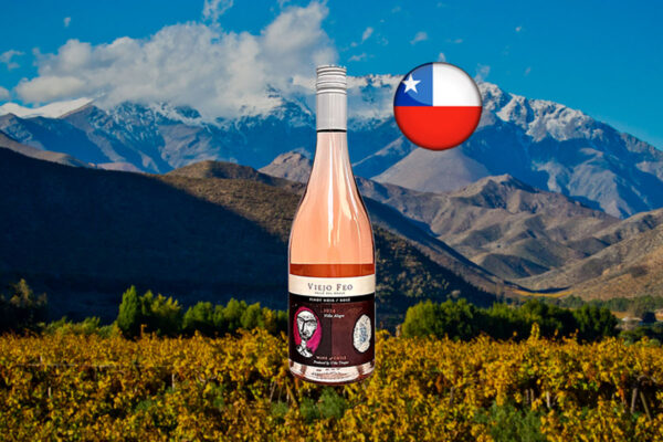 Viejo Feo Pinot Noir Rosé 2024 - Thumbnail