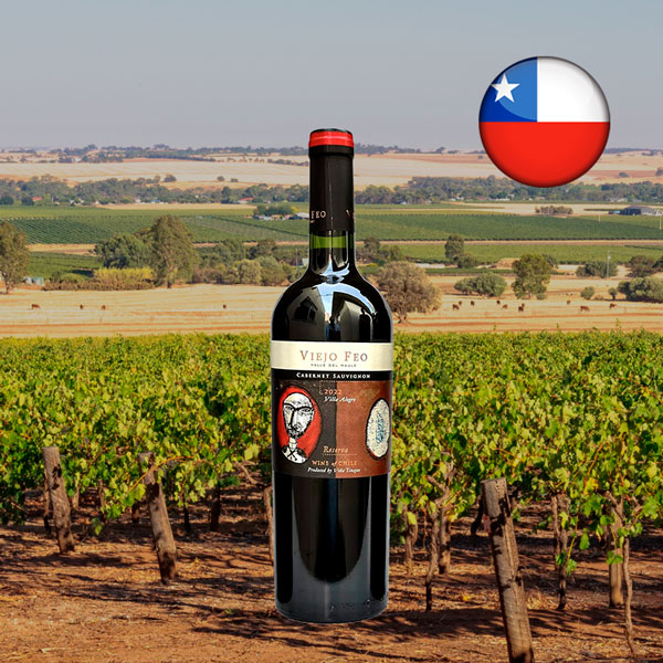 Viejo Feo Reserva Cabernet Sauvignon 2022 - Oferta