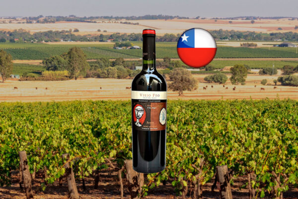 Viejo Feo Reserva Cabernet Sauvignon 2022 - Thumbnail