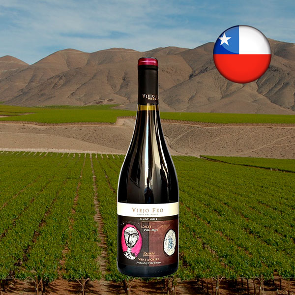 Viejo Feo Reserva Pinot Noir 2023 - Oferta