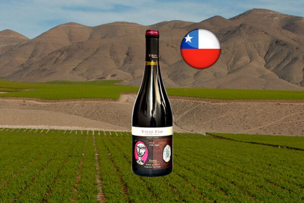 Viejo Feo Reserva Pinot Noir 2023 - Thumbnail