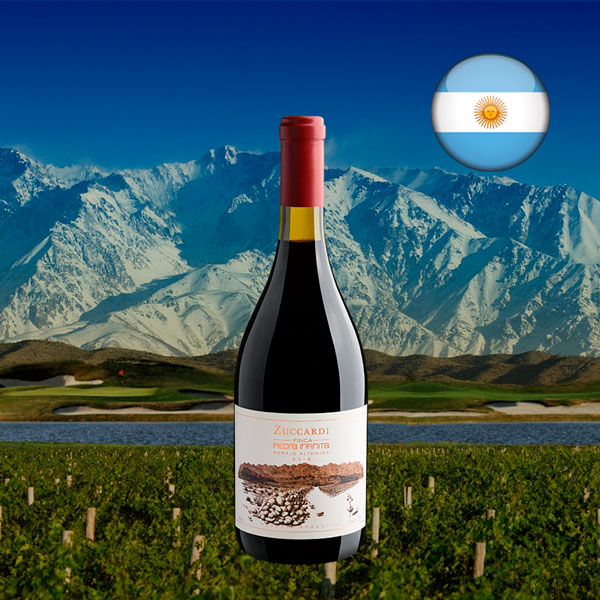 Zuccardi Finca Piedra Infinita Paraje Altamira 2018 - Oferta