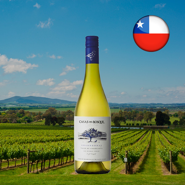 Casas Del Bosque Collection Chardonnay 2022 - Oferta