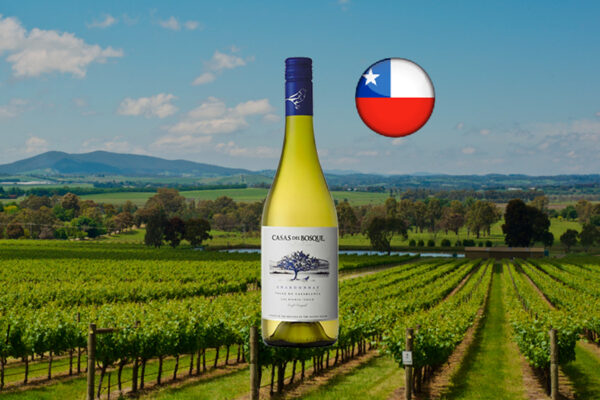 Casas Del Bosque Collection Chardonnay 2022 - Thumbnail