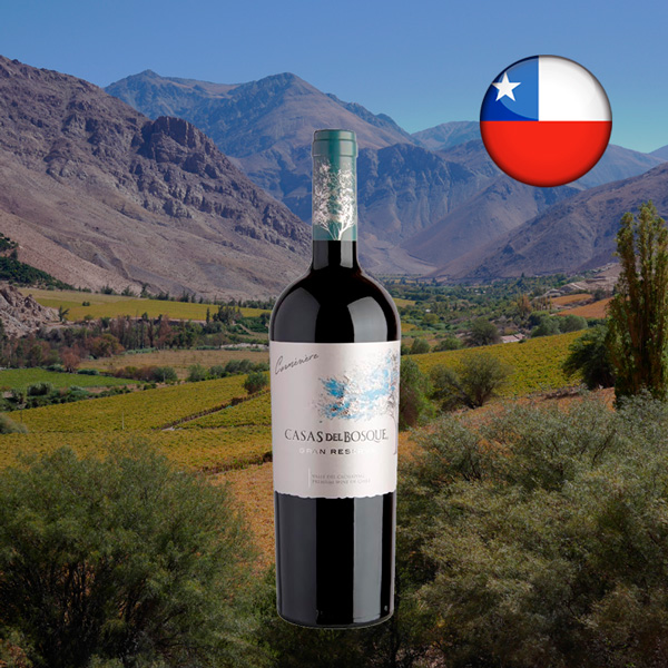 Casas Del Bosque Gran Reserva Carménère 2022 - Oferta