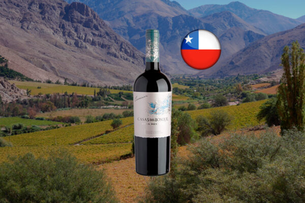 Casas Del Bosque Gran Reserva Carménère 2022 - Thumbnail