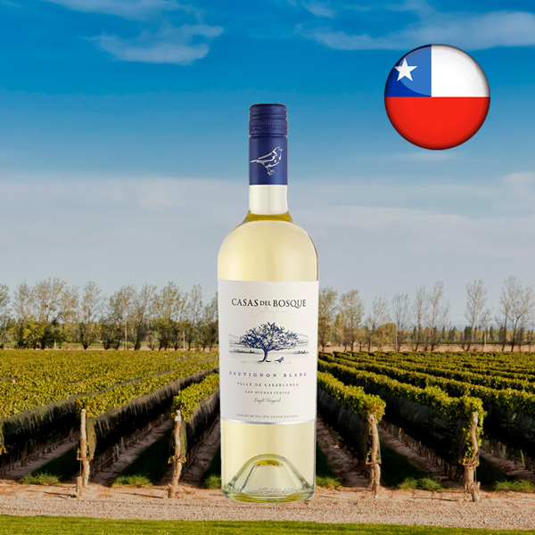 Casas Del Bosque Reserva Sauvignon Blanc 2022 - Oferta