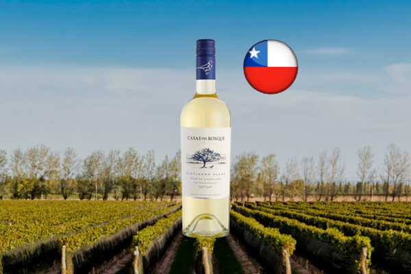 Casas Del Bosque Reserva Sauvignon Blanc 2022 - Thumbnail
