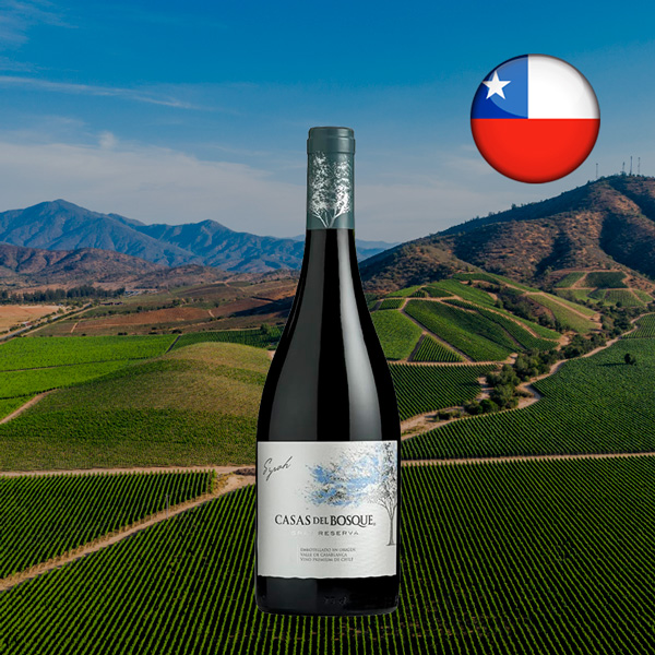Casas del Bosque Gran Reserva Syrah 2021 - Oferta