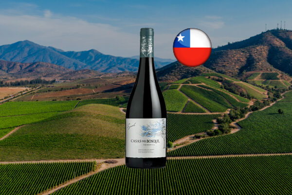 Casas del Bosque Gran Reserva Syrah 2021 - Thumbnail