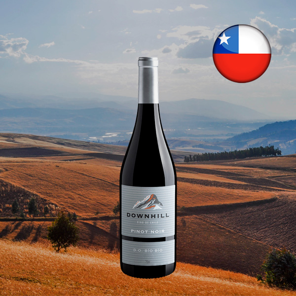 Downhill Pinot Noir Bío Bío DO 2024 - Oferta