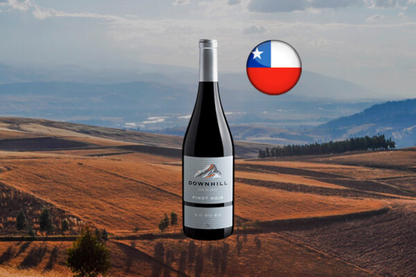 Downhill Pinot Noir Bío Bío DO 2024 - Thumbnail