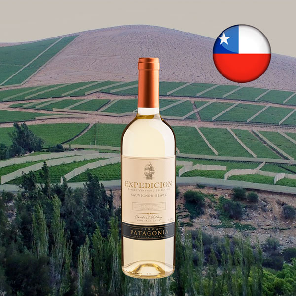 Finca Patagonia Expedicion Single Vineyard Selection Sauvignon Blanc Central Valley DO 2024 - Oferta