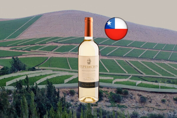 Finca Patagonia Expedicion Single Vineyard Selection Sauvignon Blanc Central Valley DO 2024 - Thumbnail