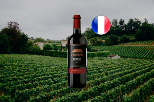 Grandier Bordeaux 2019 - Thumbnail