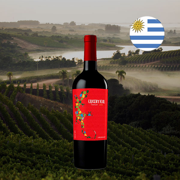 Lacertilia Bracco Bosca Tannat 2018 - Oferta