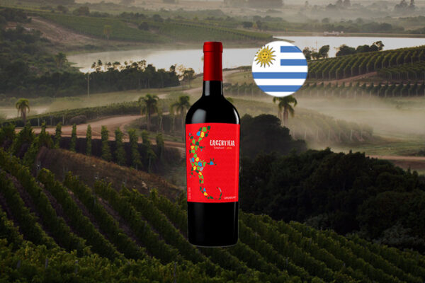 Lacertilia Bracco Bosca Tannat 2018 - Thumbnail