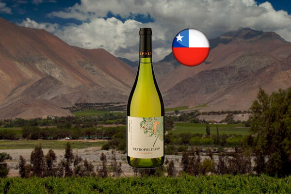 Metropolitano DO Valle Central Chardonnay - Thumbnail