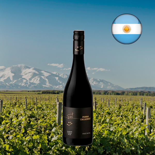 Perro Callejero Pinot Noir 2021 - Oferta