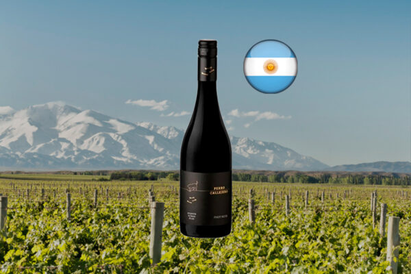 Perro Callejero Pinot Noir 2021 - Thumbnail