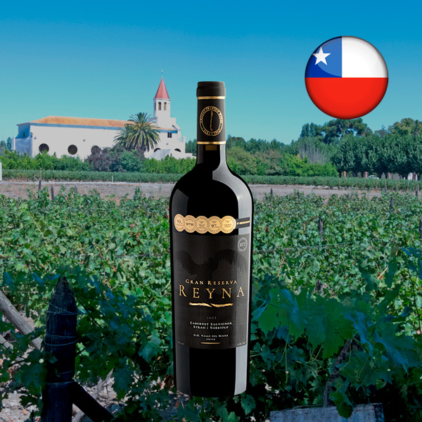 Reyna Gran Reserva Cabernet Sauvignon Syrah Nebbiolo Valle del Maule DO 2023 - Oferta