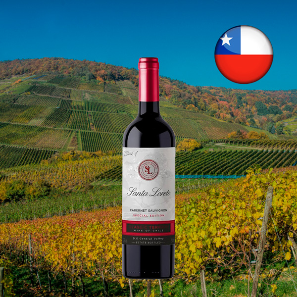 Santa Loreto Cabernet Sauvignon 2023 - Oferta