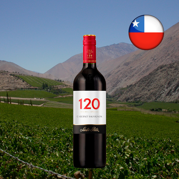 Santa Rita 120 Reserva Especial Cabernet Sauvignon 2021 - Oferta
