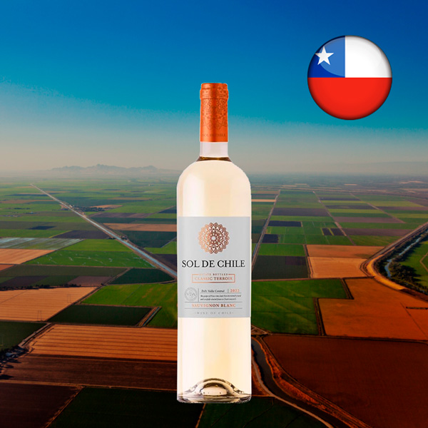 Sol de Chile Estate Bottled Classic Terroir DO Valle Central Sauvignon Blanc 2022 - Oferta