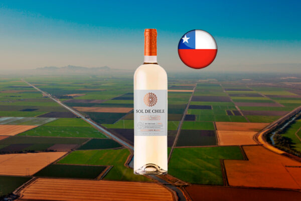 Sol de Chile Estate Bottled Classic Terroir DO Valle Central Sauvignon Blanc 2022 - Thumbnail