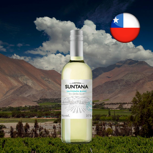 Suntana Sauvignon Blanc DO Central Valley 2022 375ml - Oferta