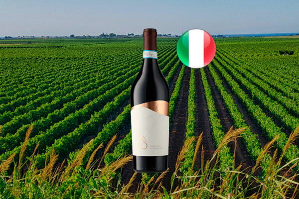Talò Primitivo di Manduria 2023 - Thumbnail
