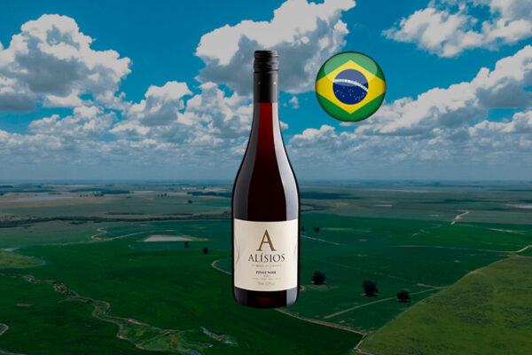 Alísios Pinot Noir 2023 - Thumbnail
