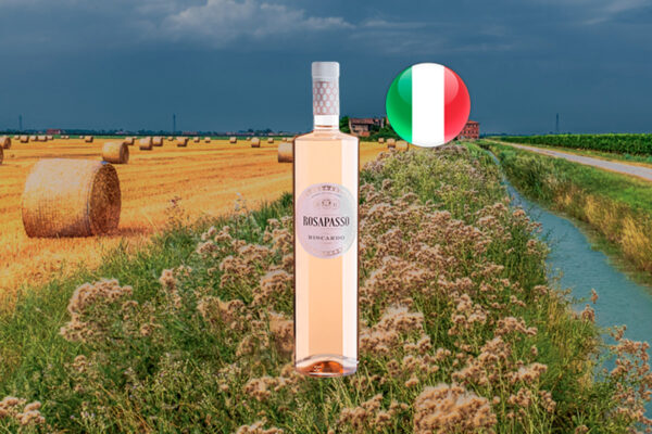 Biscardo Rosapasso Originale Pinot Nero Veneto IGT 2024 - Thumbnail