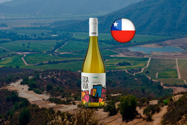 Casa Viva Chardonnay 2023 - Thumbnail