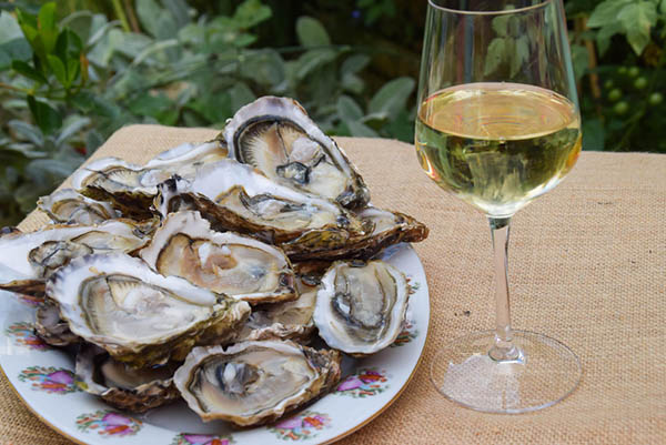 Casas del Bosque Botanic Series La Cantera Sauvignon Blanc 2021 - Harmonização