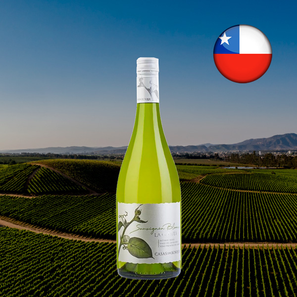 Casas del Bosque Botanic Series La Cantera Sauvignon Blanc 2021 - Oferta