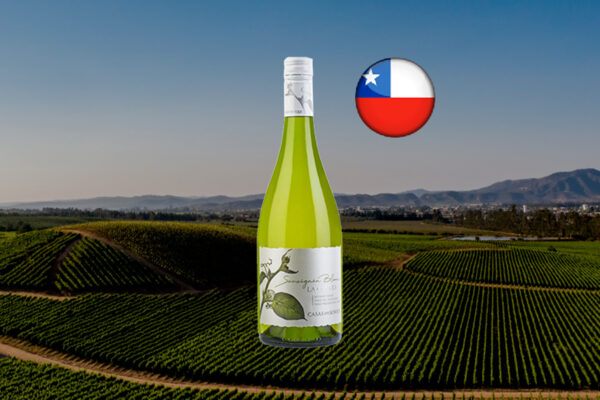 Casas del Bosque Botanic Series La Cantera Sauvignon Blanc 2021 - Thumbnail
