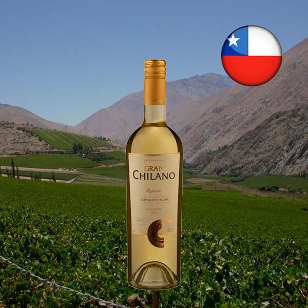 Chilano Gran Reserva Sauvignon Blanc 2022 - Oferta