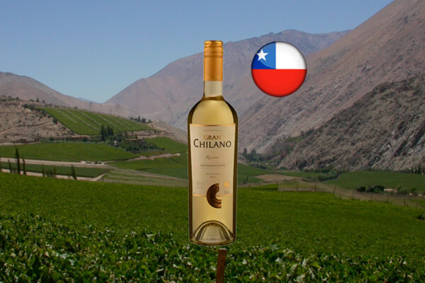 Chilano Gran Reserva Sauvignon Blanc 2022 - Thumbnail