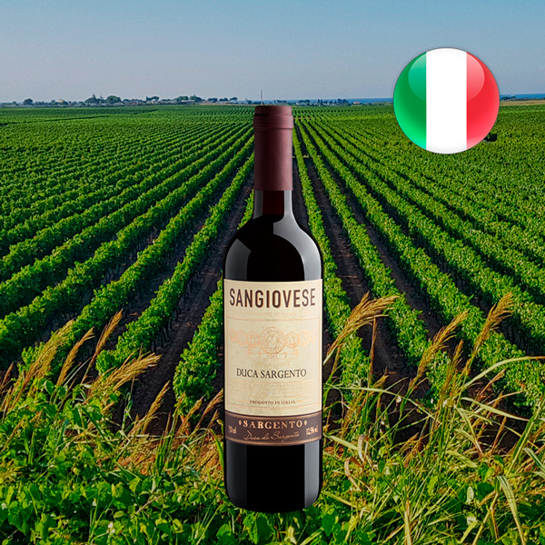 Duca Sargento Sangiovese 2021 - Oferta